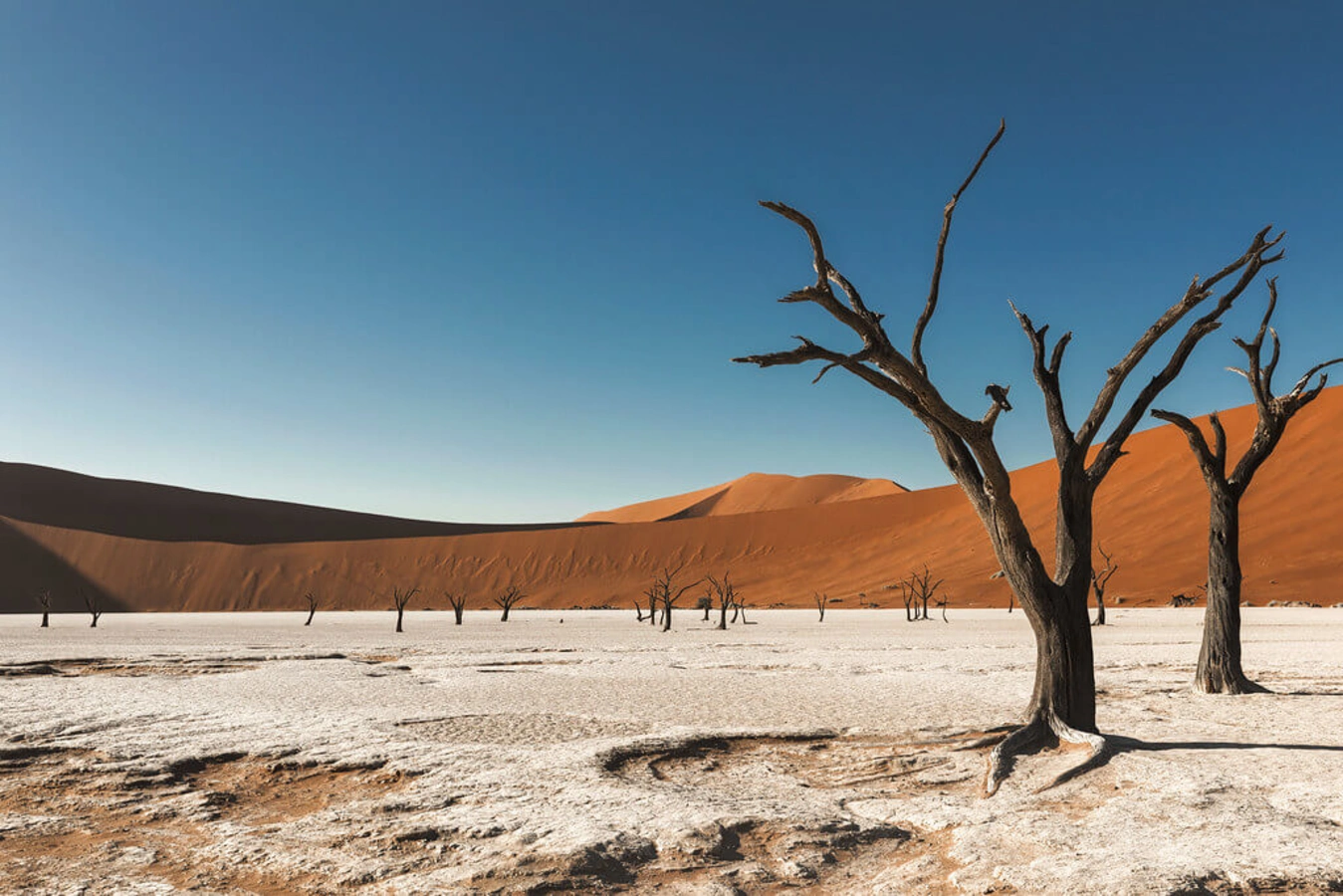 Dead Vlei, Namibie