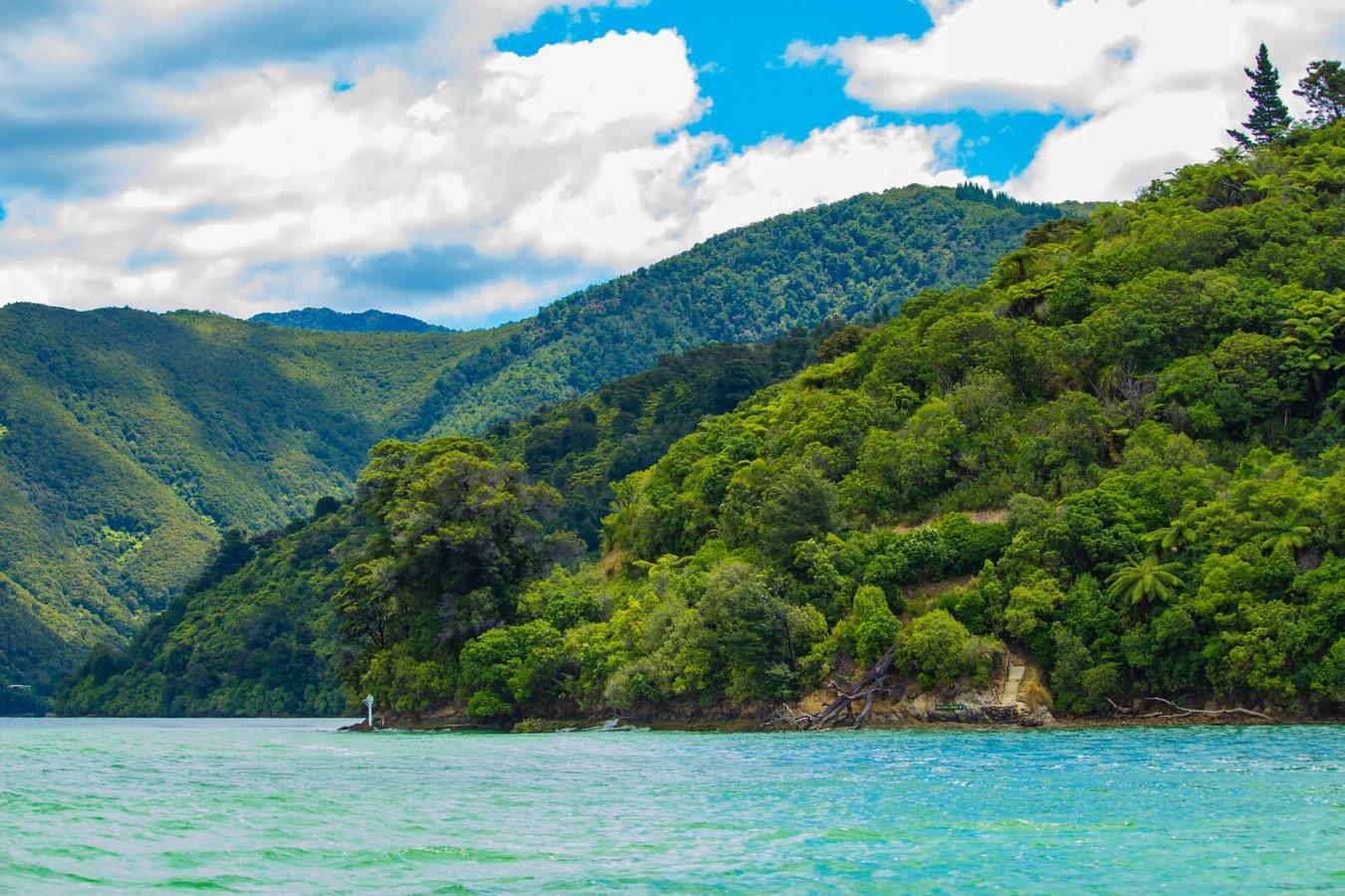 Marlborough Sounds, Nouvelle-Zélande