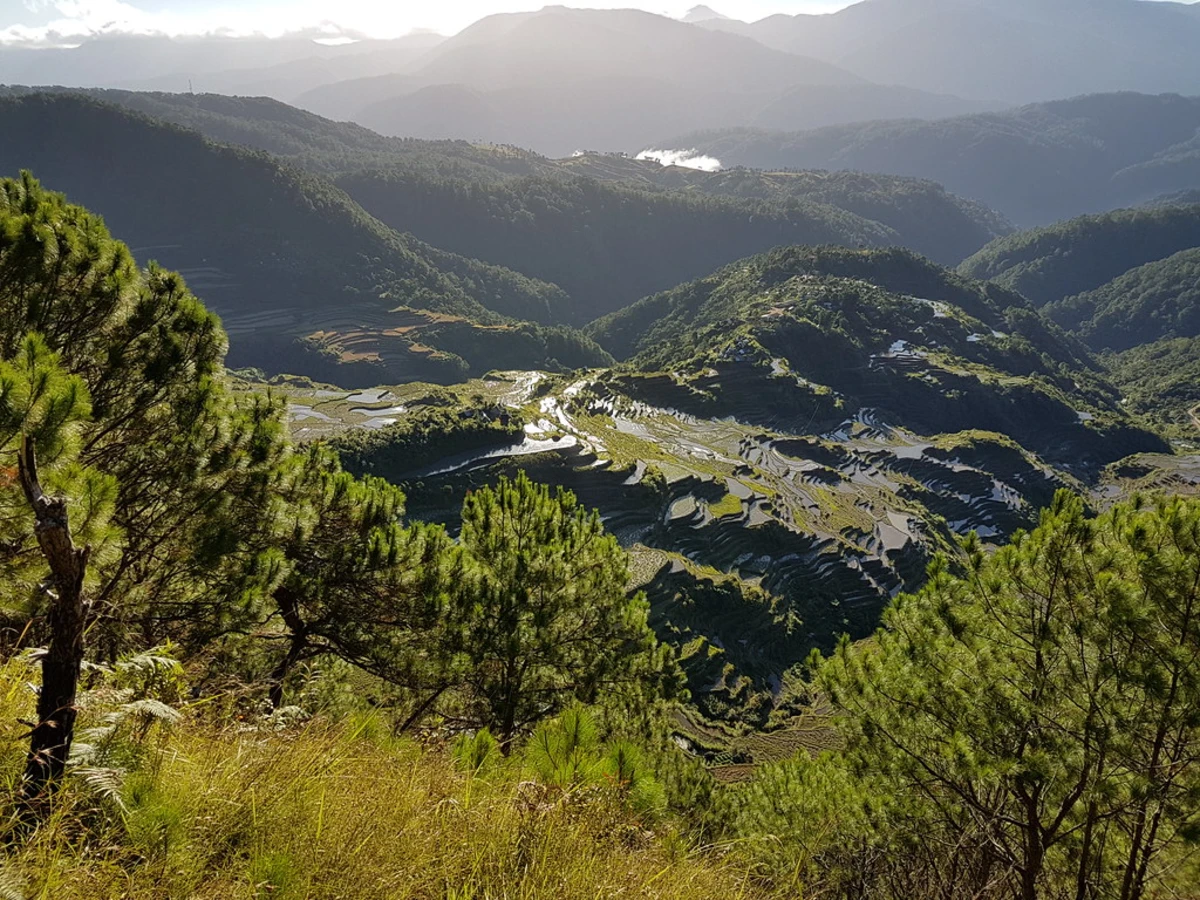 Maligcong Rice Terraces, Philippines