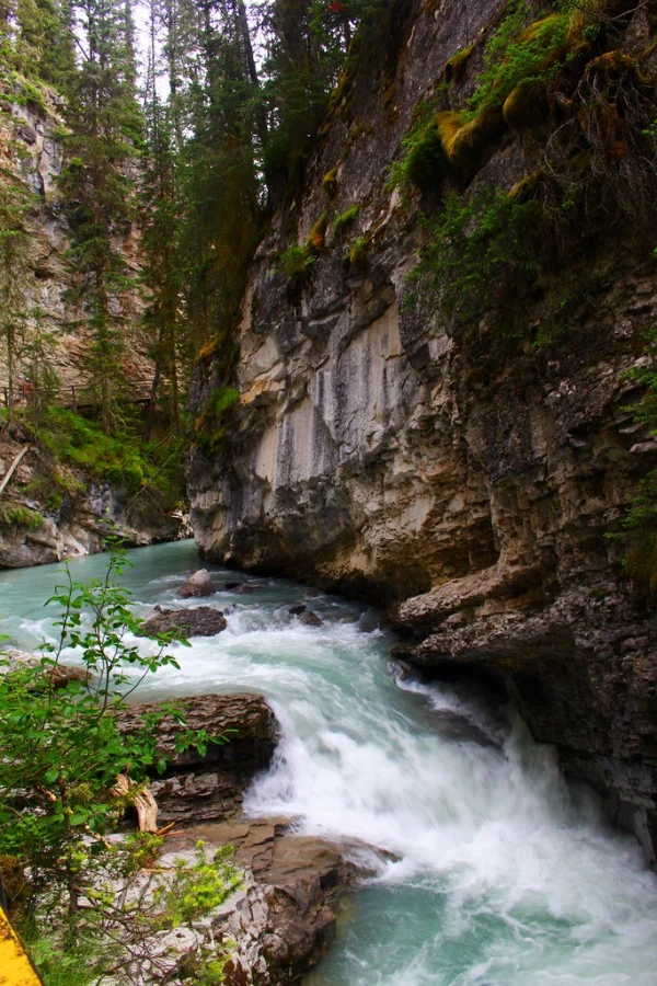 Canyon Johnston, Canada