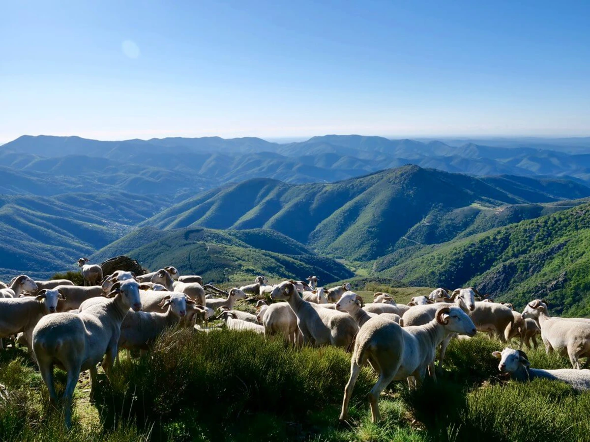 Parc national des Cévennes, France, France