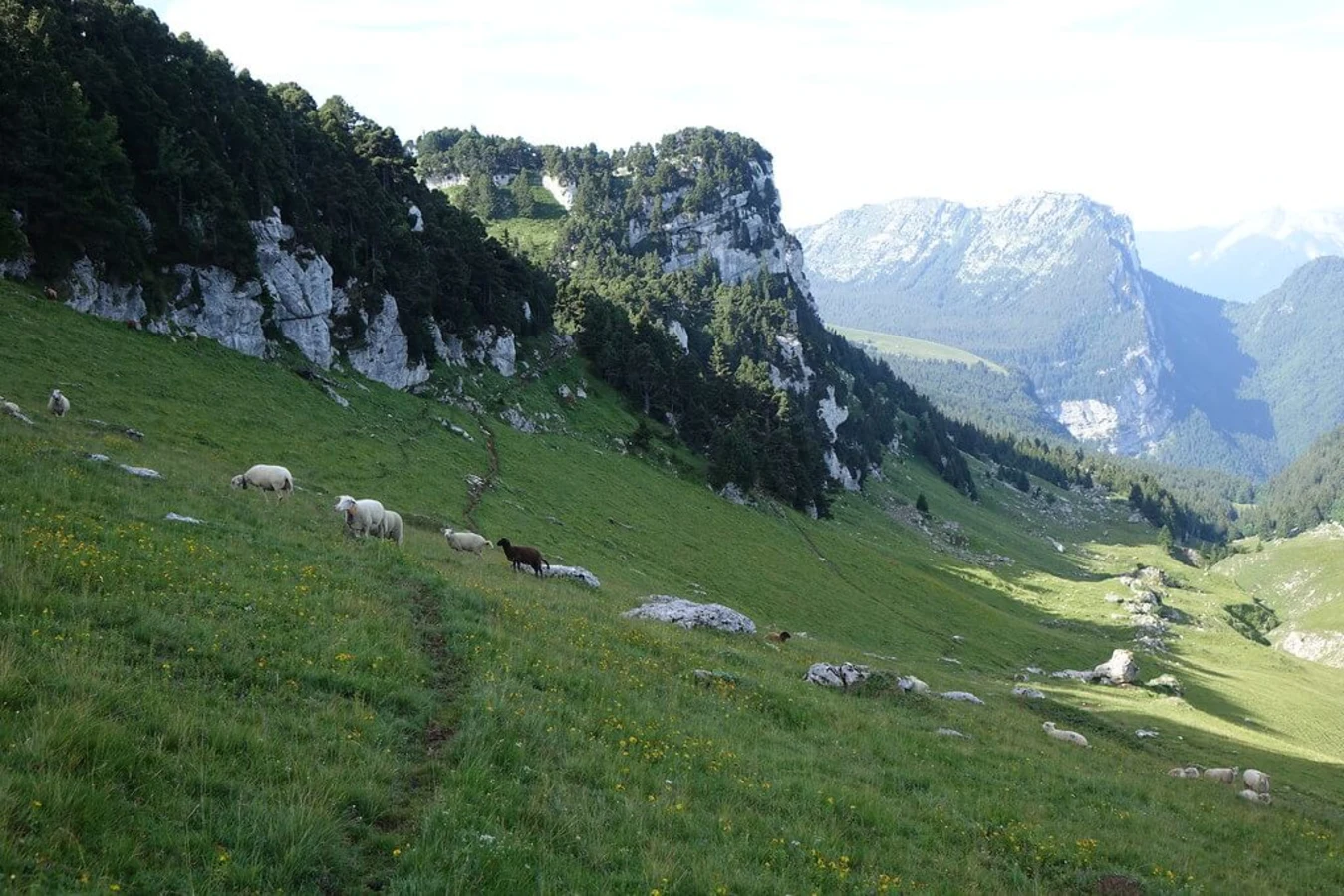 Massif de la Chartreuse, France