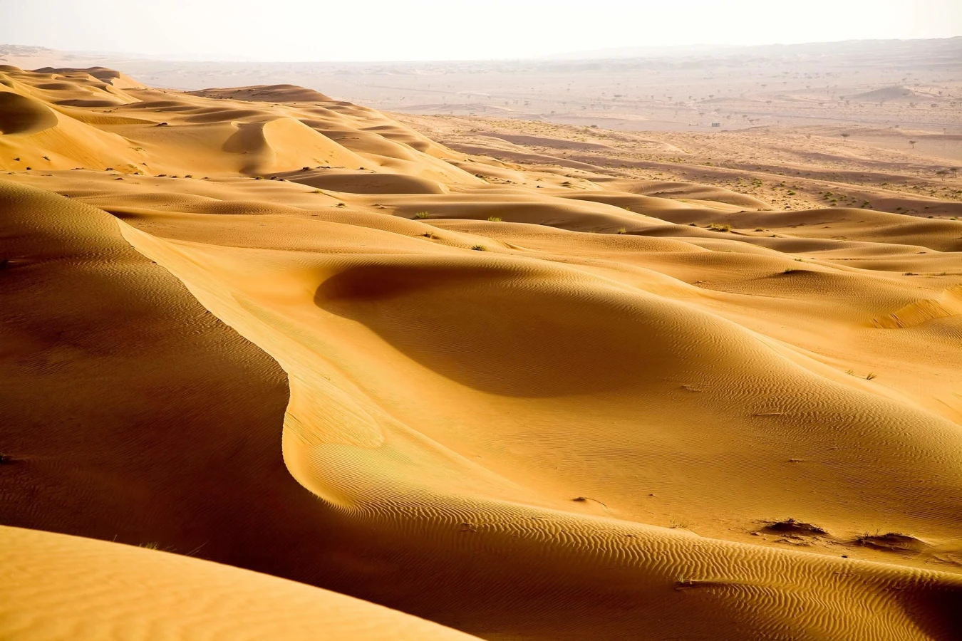 Wahiba Sands, Oman, Oman