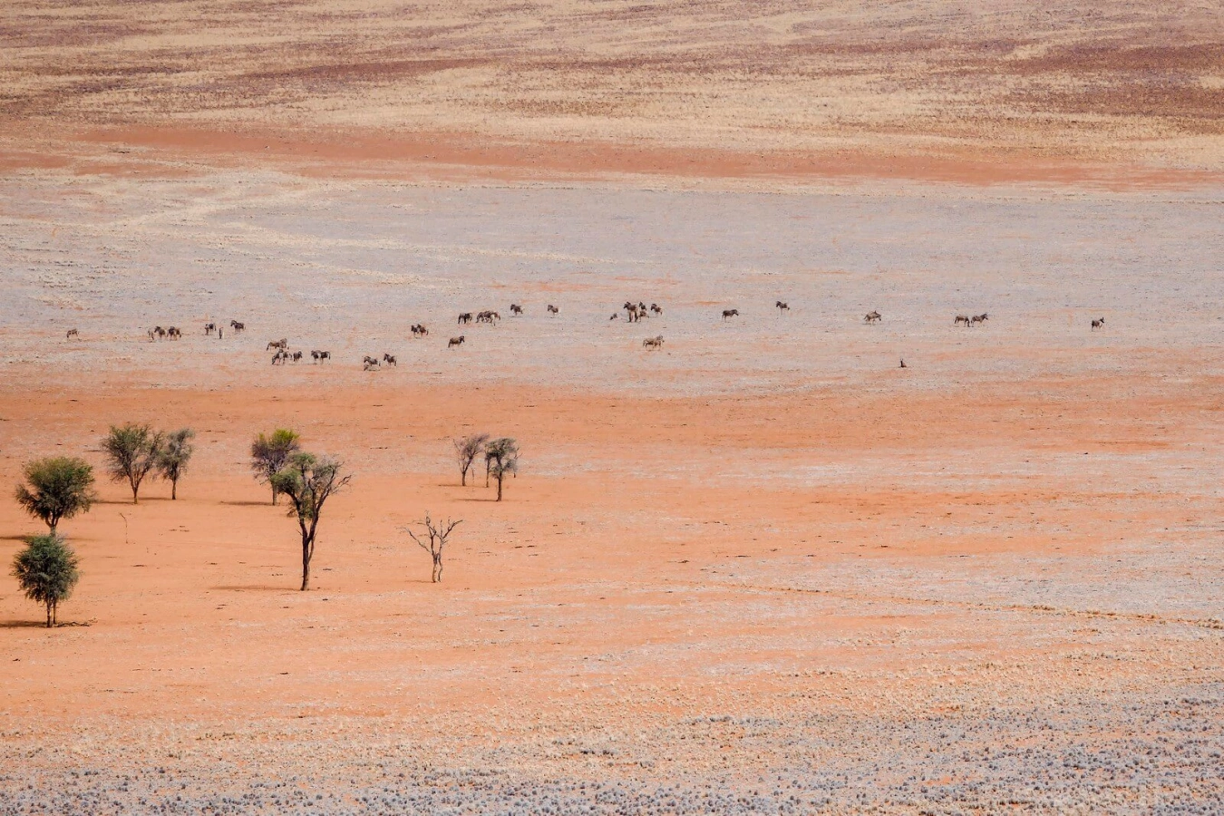Tok Tokkie Hiking Trails, Namibie