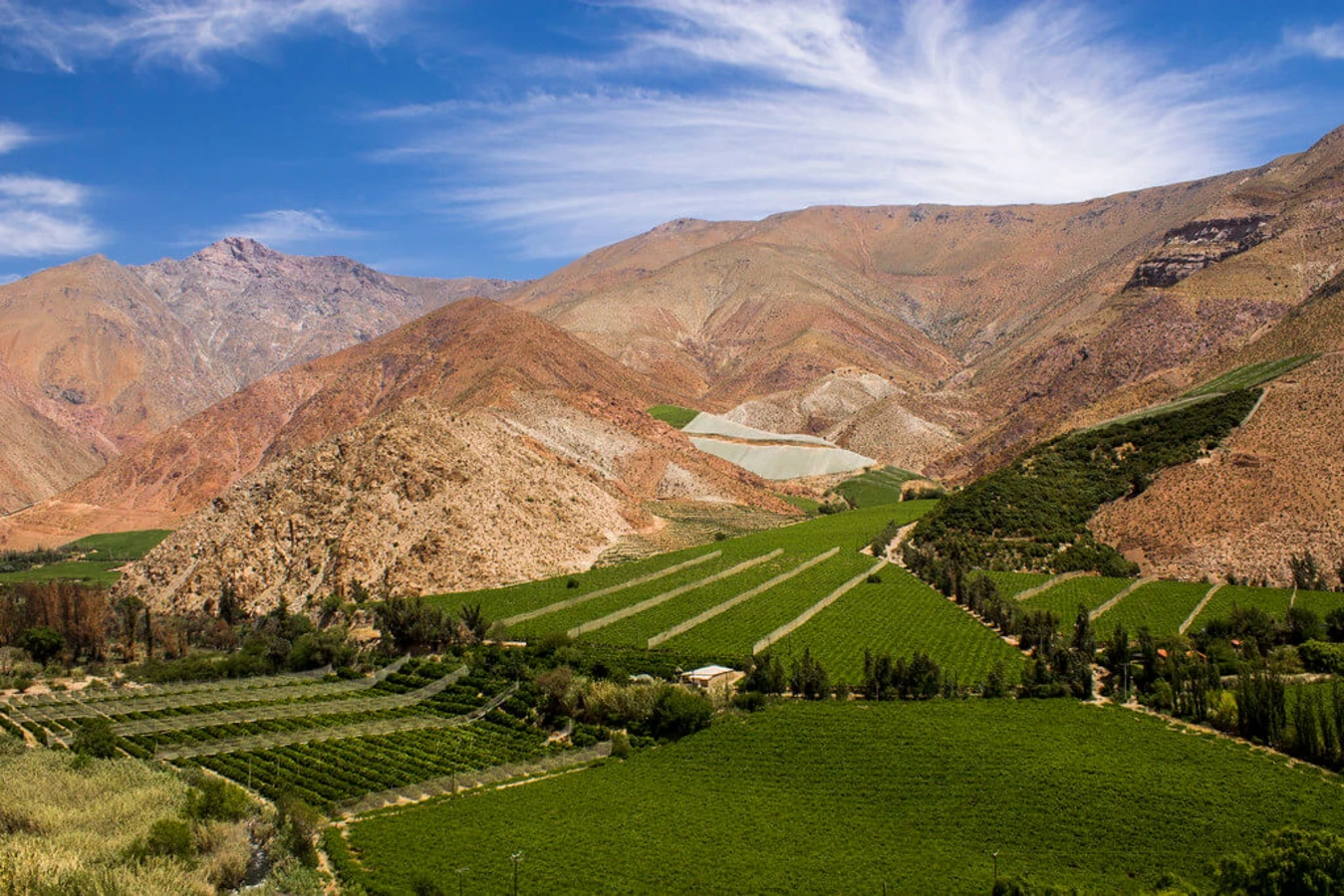 Vallée de l'Elqui, Chili