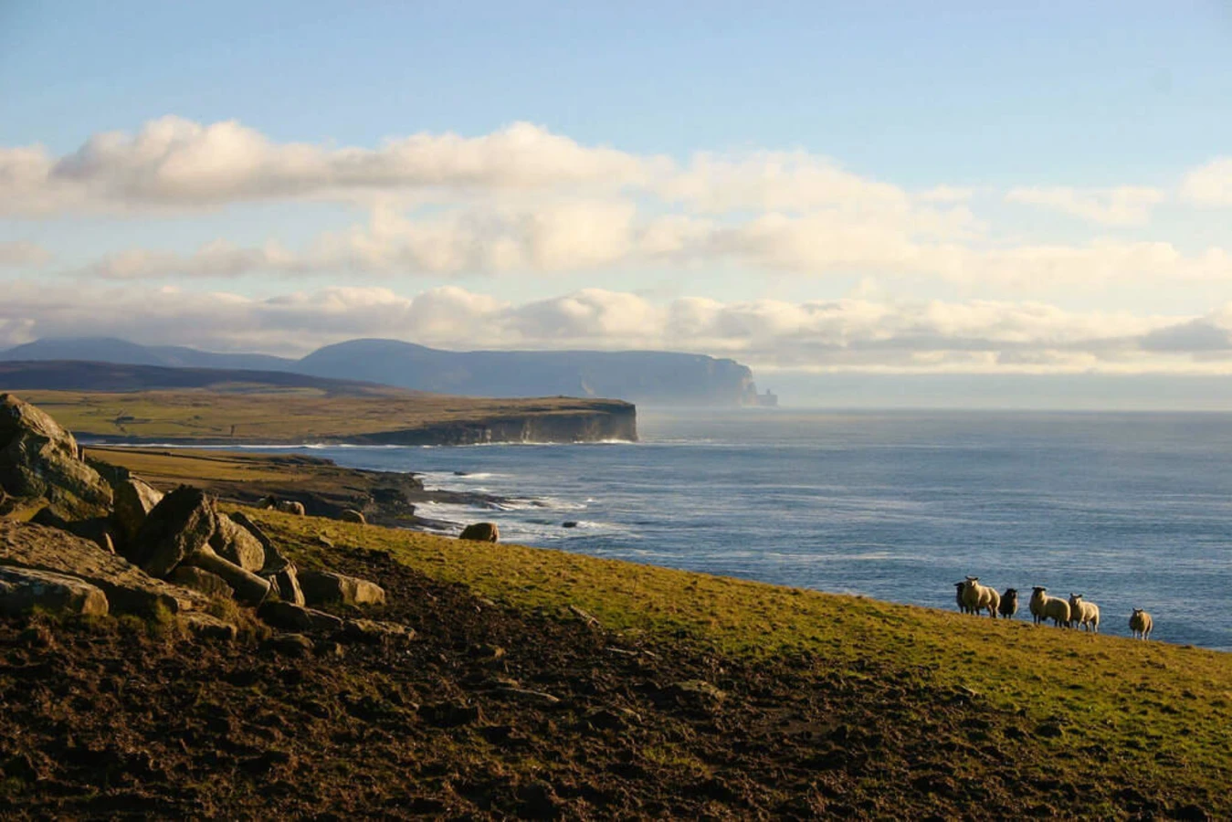 Iles Orcades, Écosse