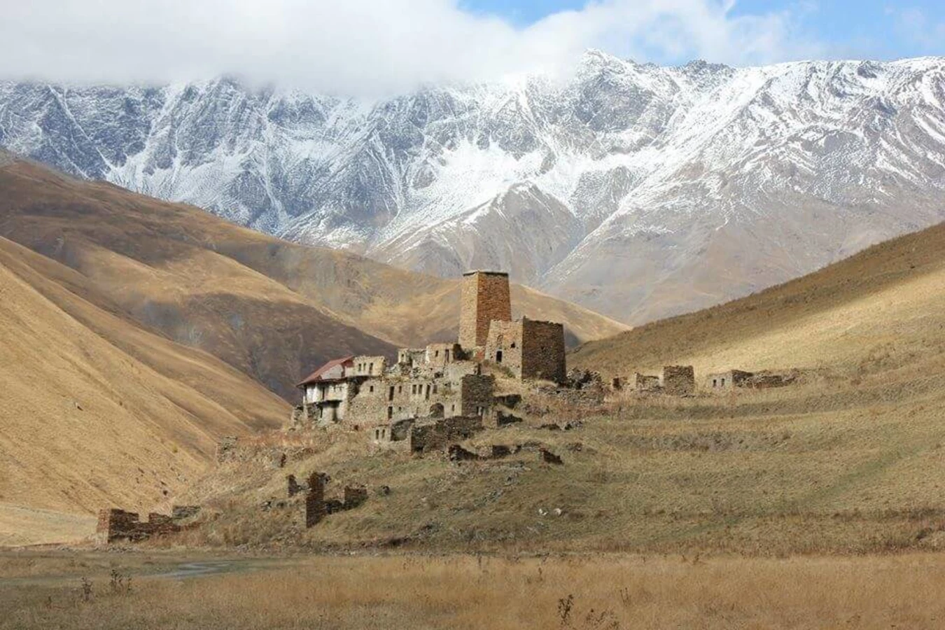 Burmasigi, Géorgie