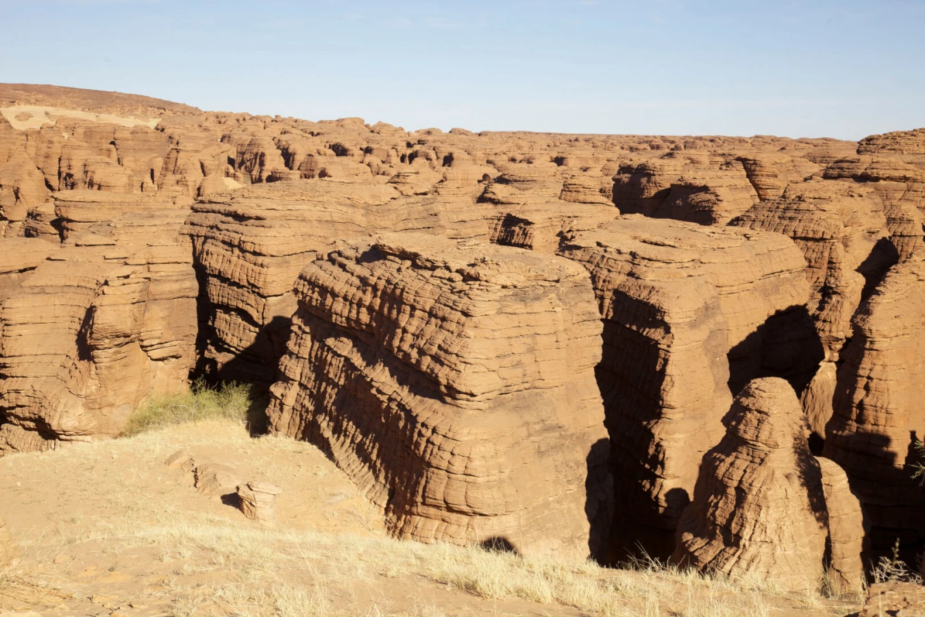 Labyrinthe d'Oyo, Tchad