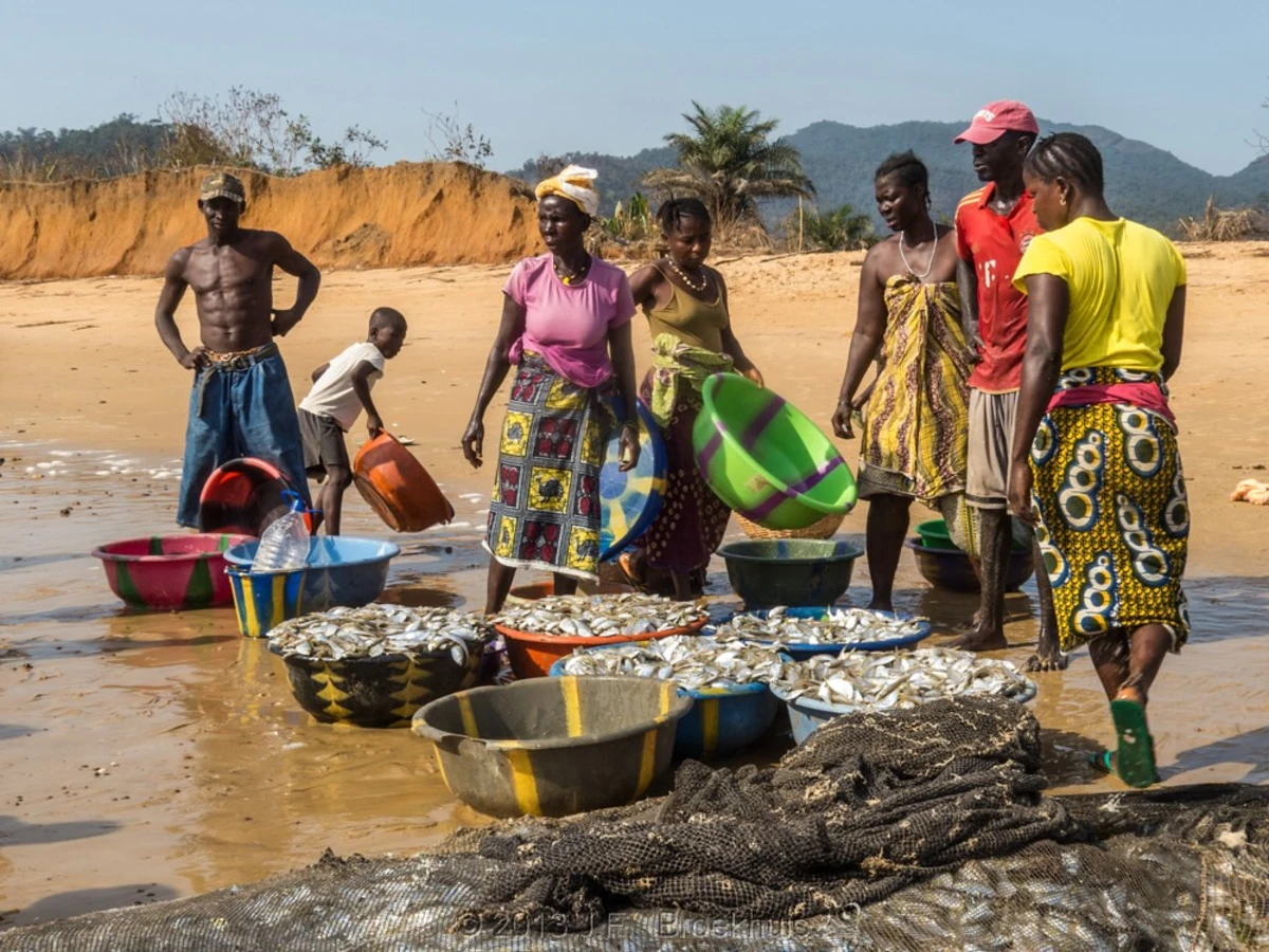 Hamilton Beach, Sierra Leone