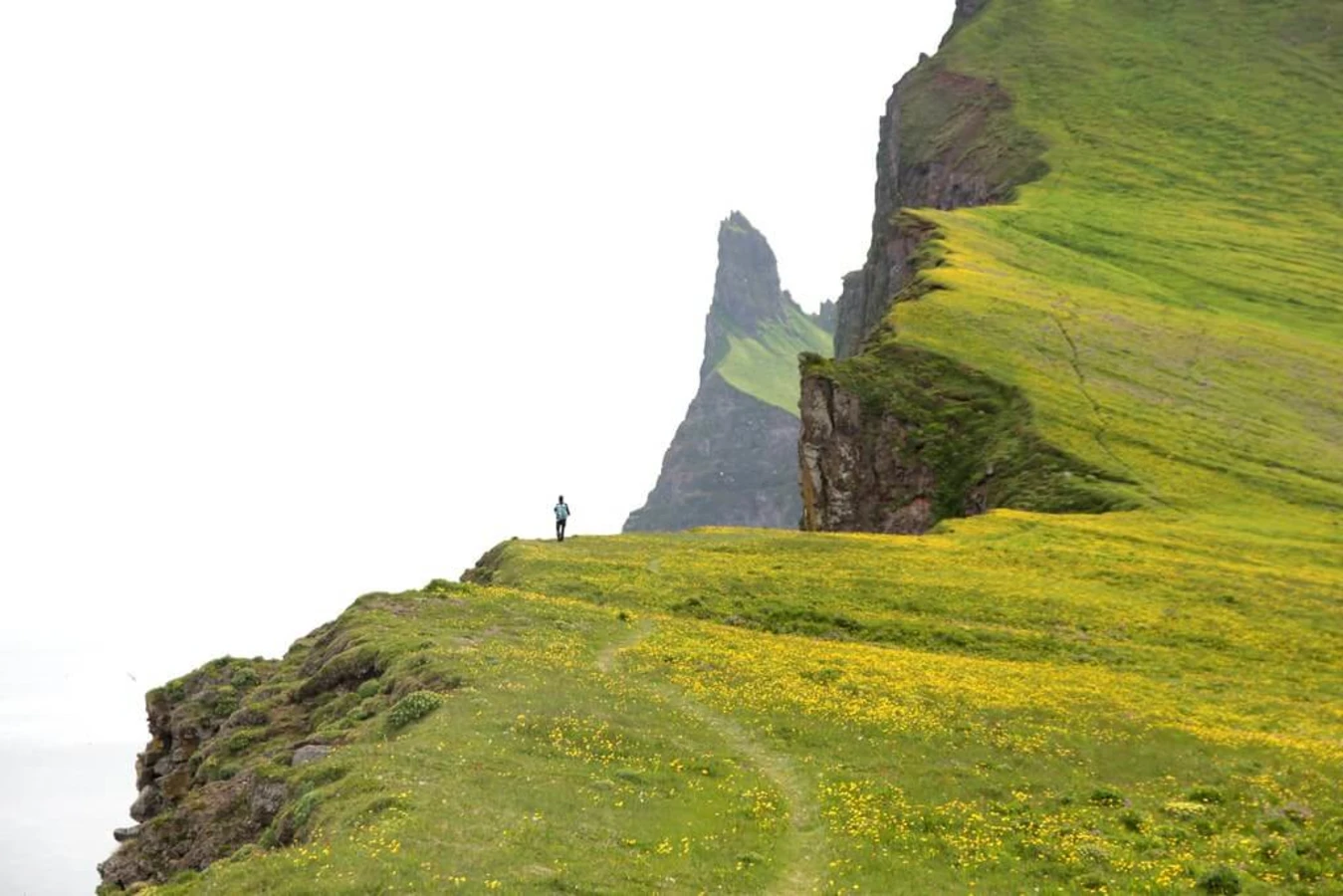Hornstrandir, Islande