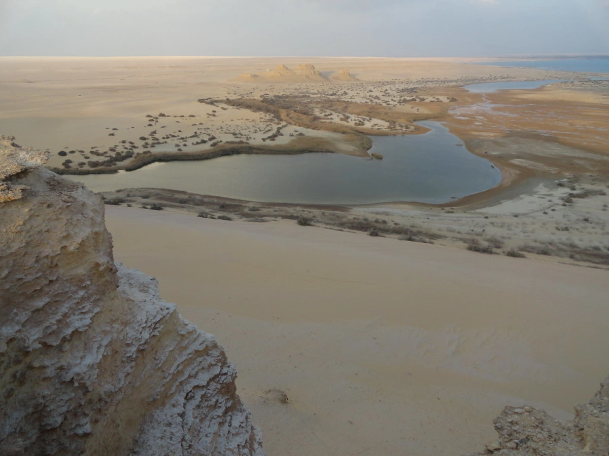 Oasis du Fayoum, Égypte