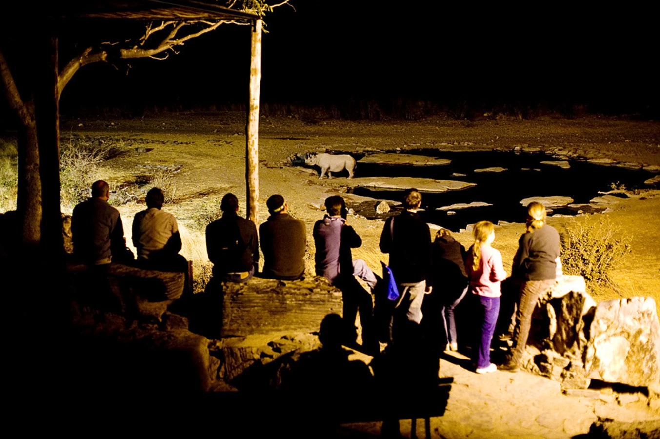 Moringa Waterhole, Namibie
