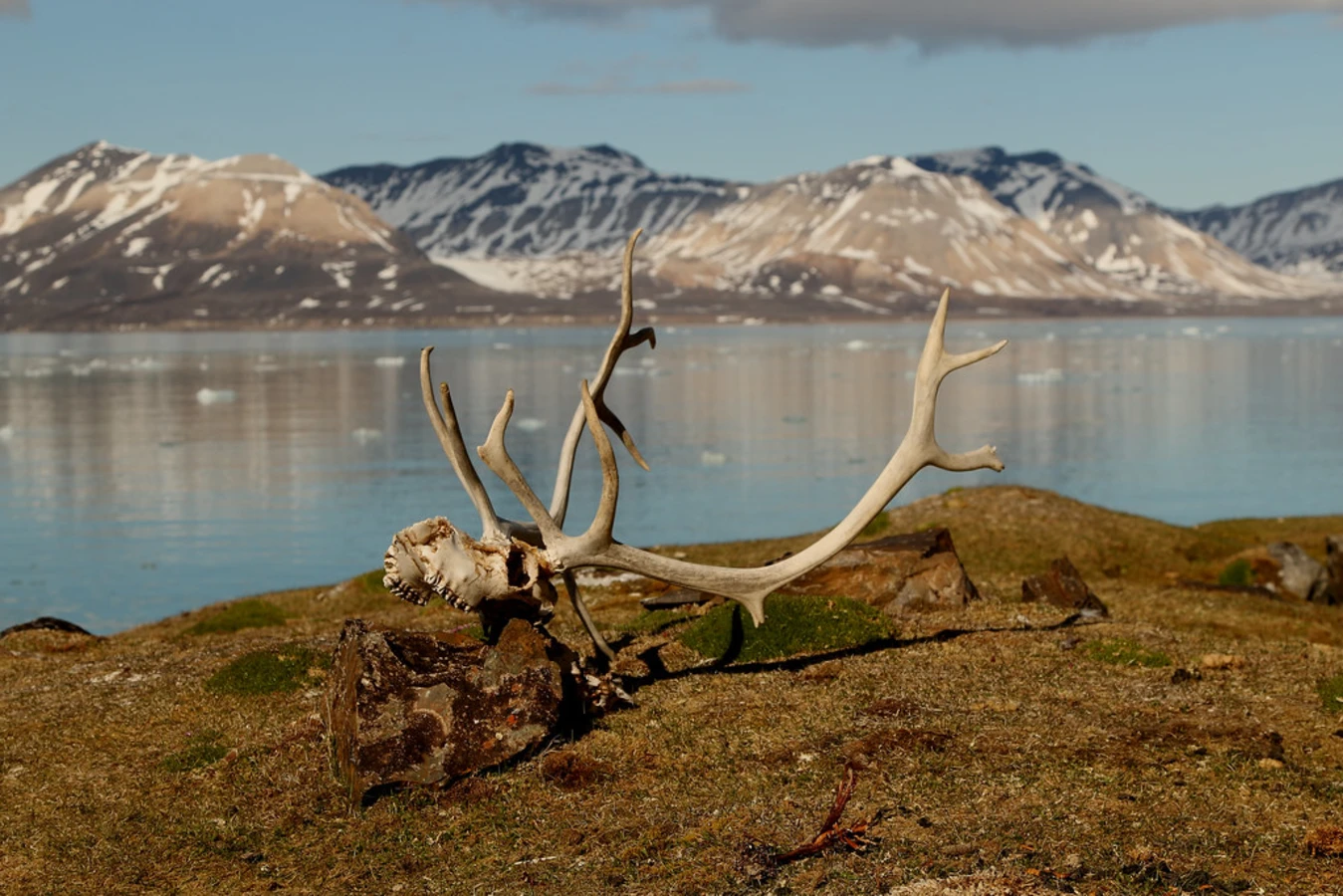 Krossfjorden, Svalbard et Jan Mayen