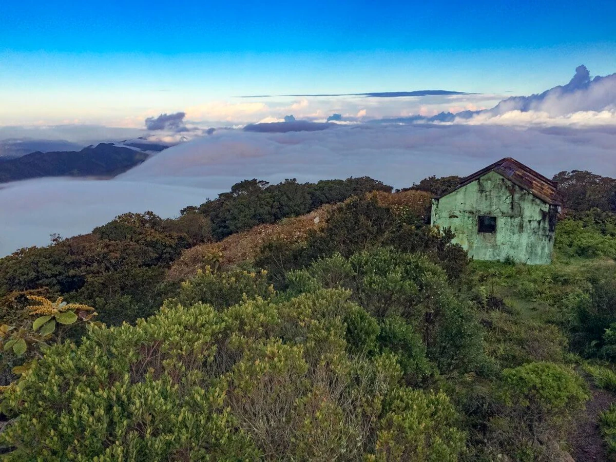 Blue Mountain Peak, Jamaïque