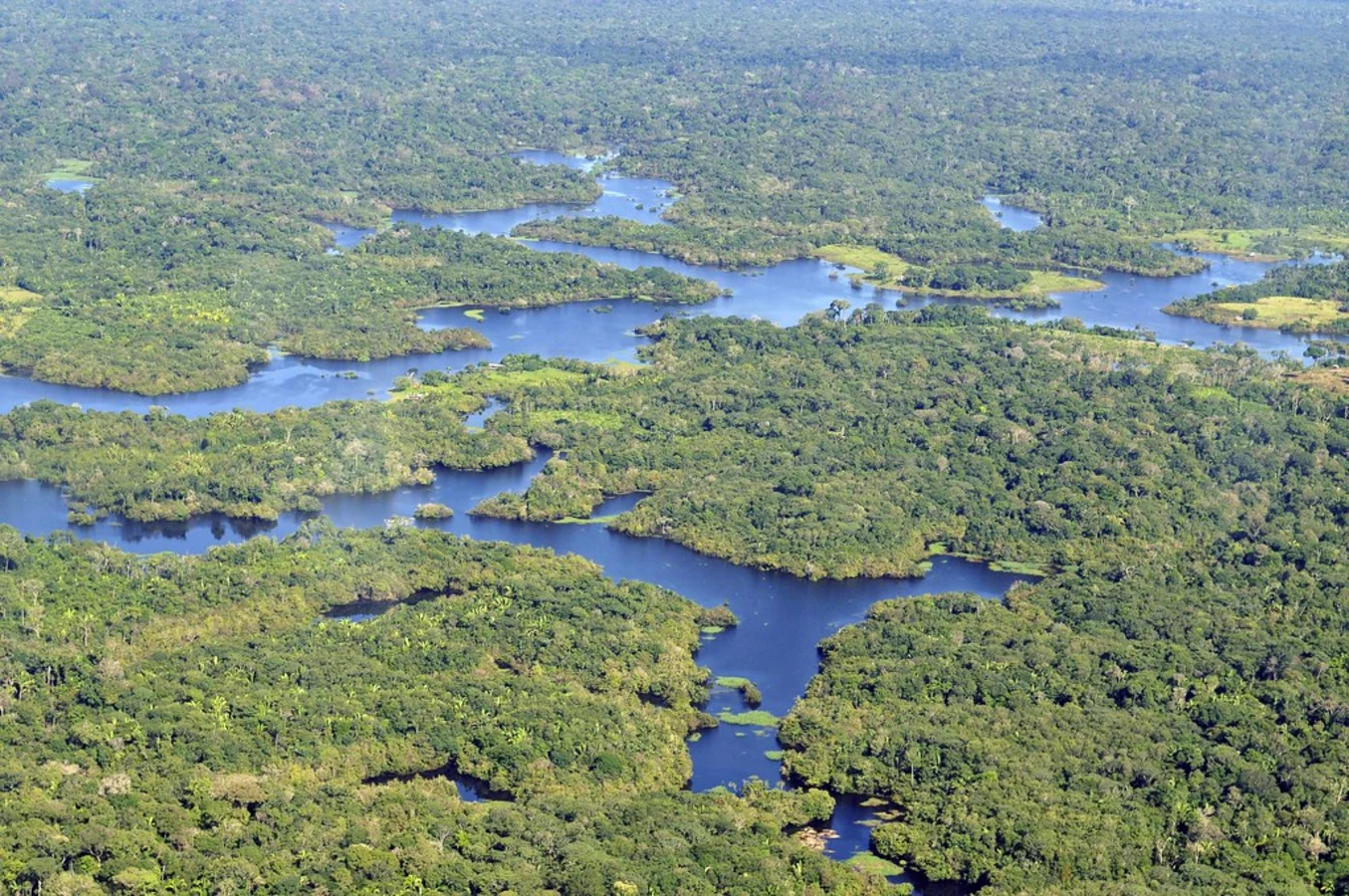 Delta de l'Amazone, Brésil, Brésil