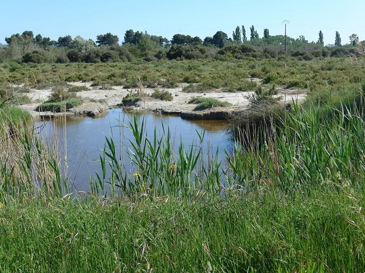 Domaine de la Tour du Valat, France