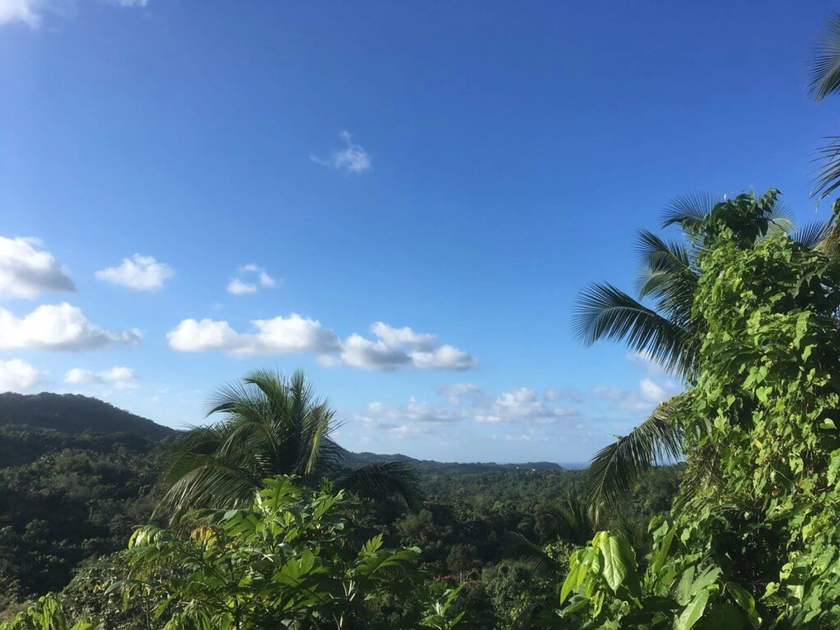Monts John Crow, Jamaïque