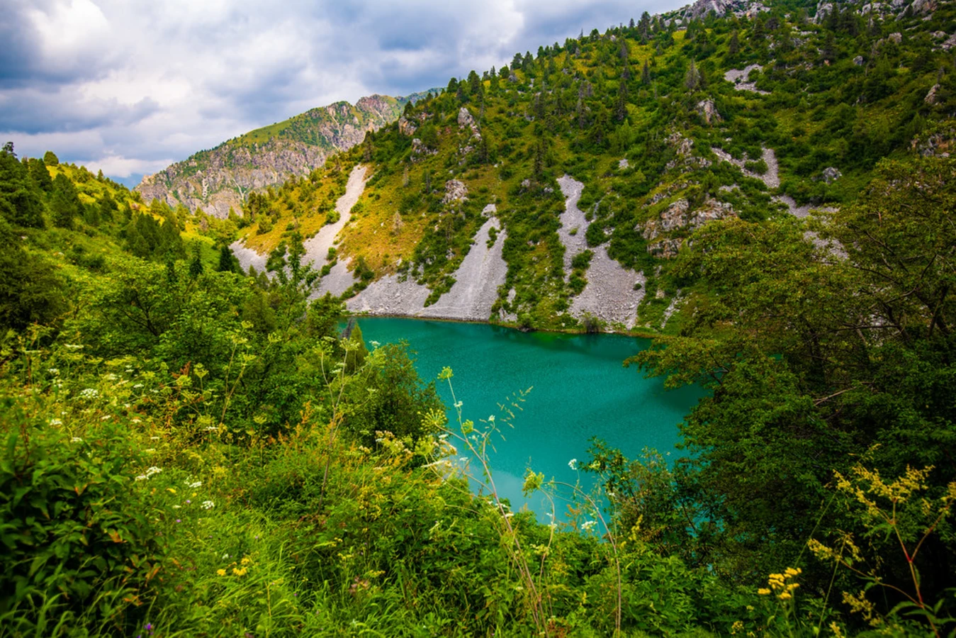 Réserve naturelle de Sary-Chelek, Kirghizistan