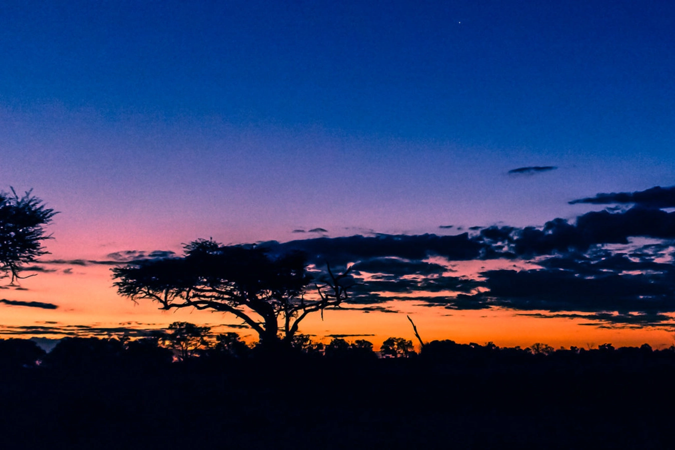Khwai Private Reserve, Botswana