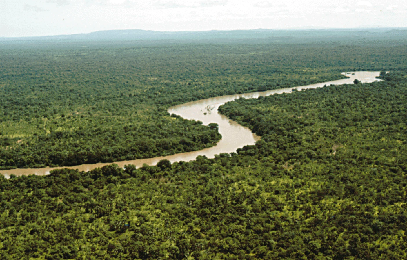 Parc national du Niokolo-Koba, Sénégal
