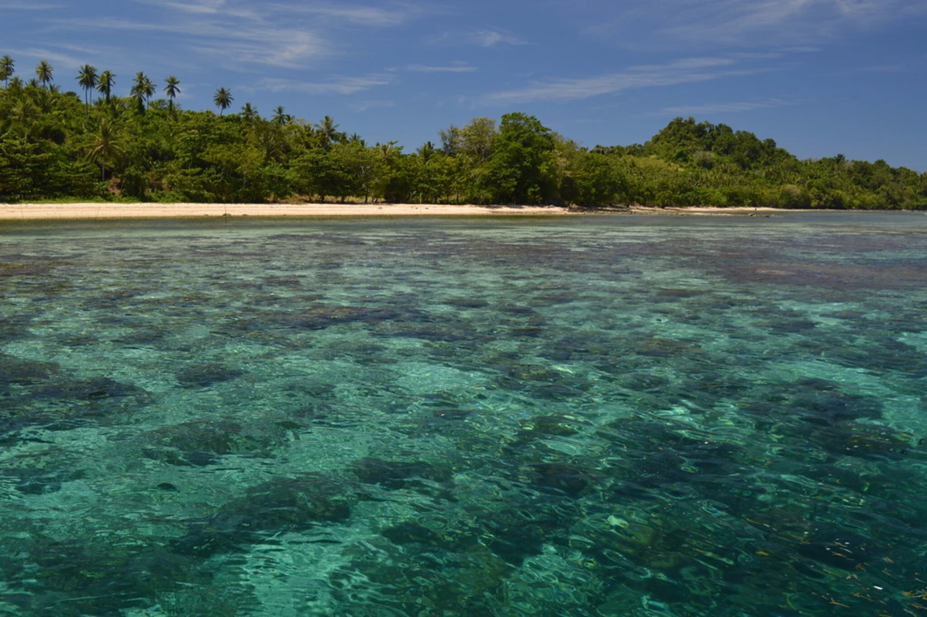 Sulawesi, Indonésie, Indonésie, Indonésie, Indonésie, Indonésie