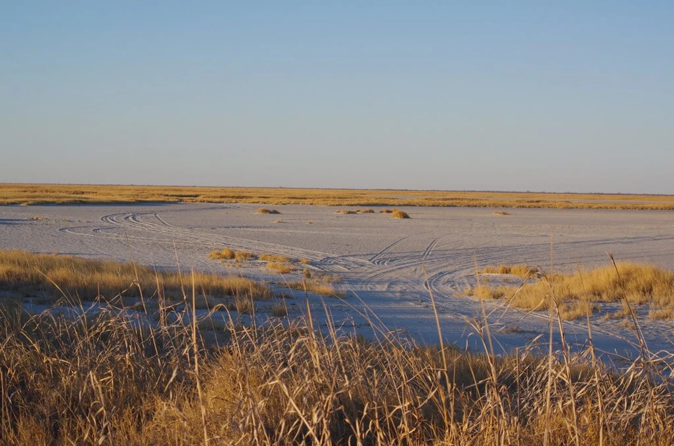 Parc national de Makgadikgadi Pans, Botswana