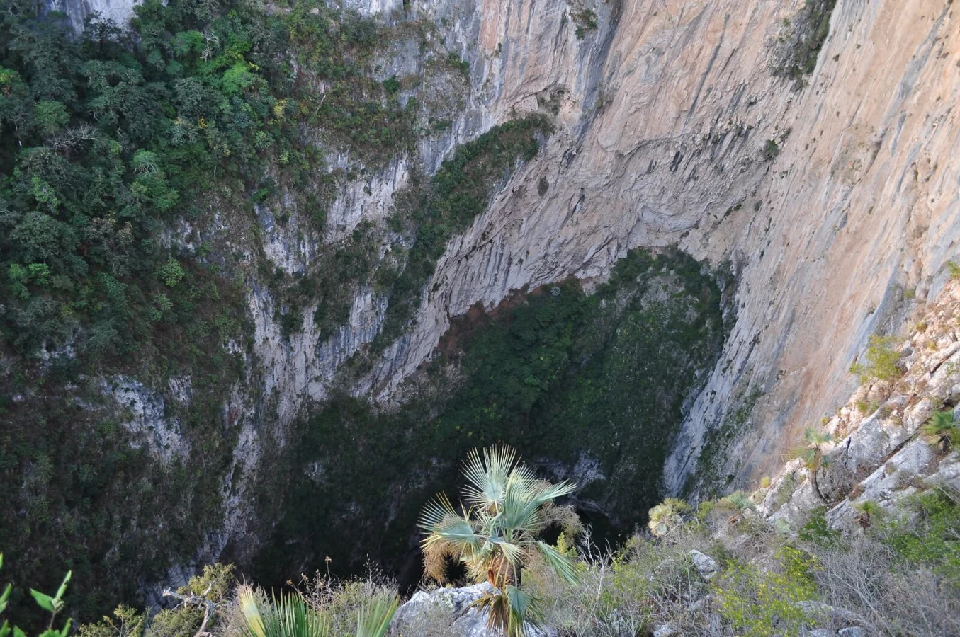 Sarisarinama, Venezuela