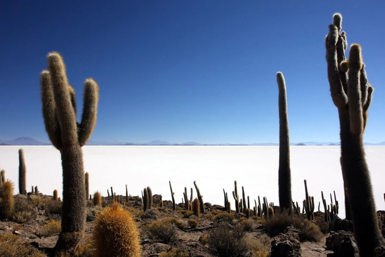 Salar d'Uyuni, Bolivie