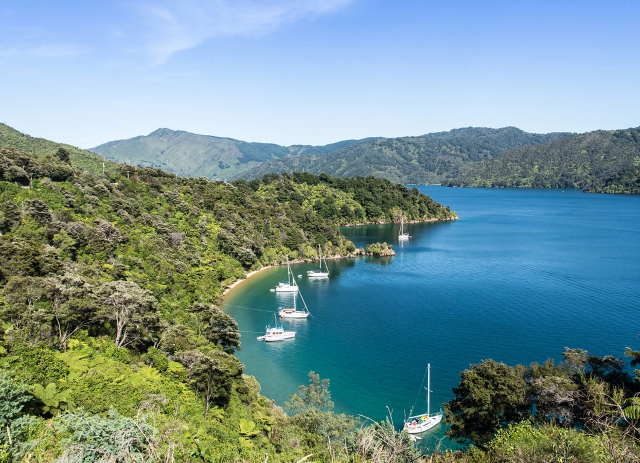 Queen Charlotte Sound, Nouvelle-Zélande