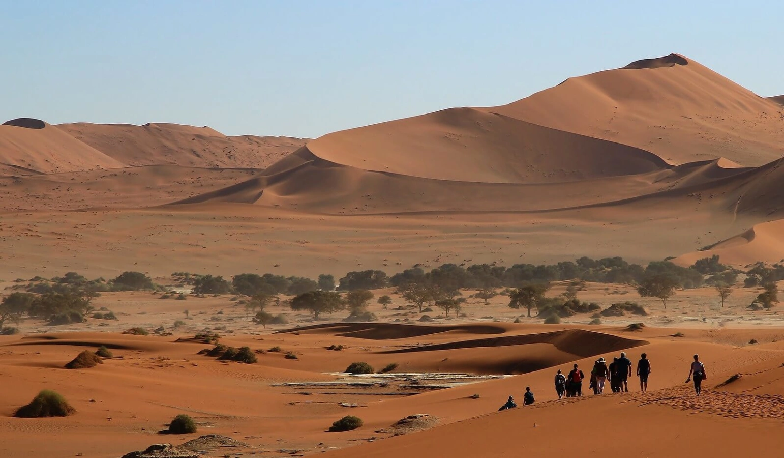 Désert du Namib, Namibie, Namibie, Namibie