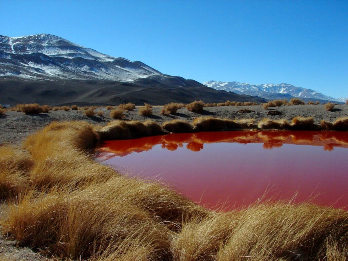 Salar d'Antofalla, Argentine