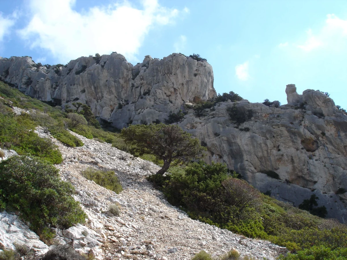 Tiscali, Italie