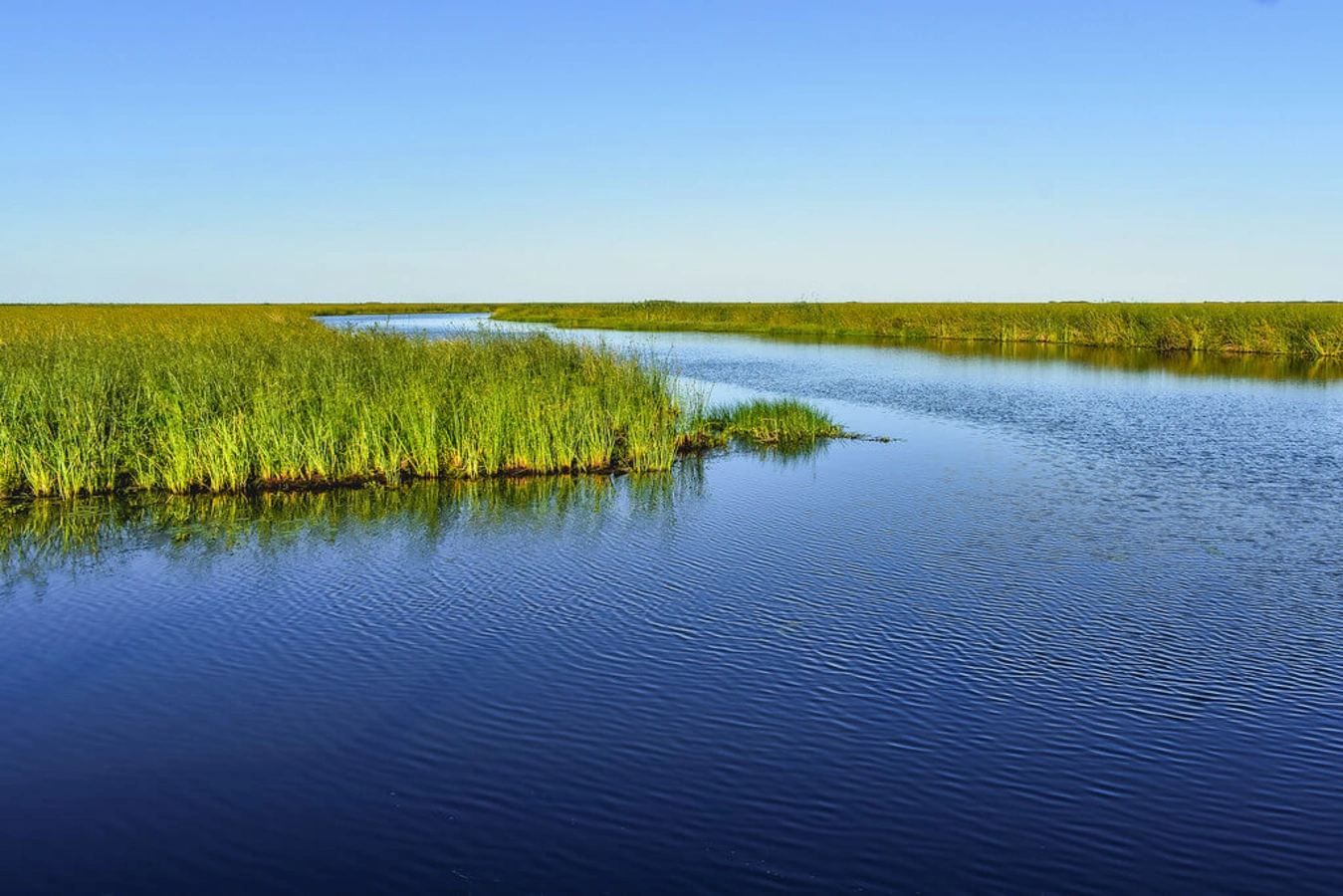 Parc national Ibera, Argentine