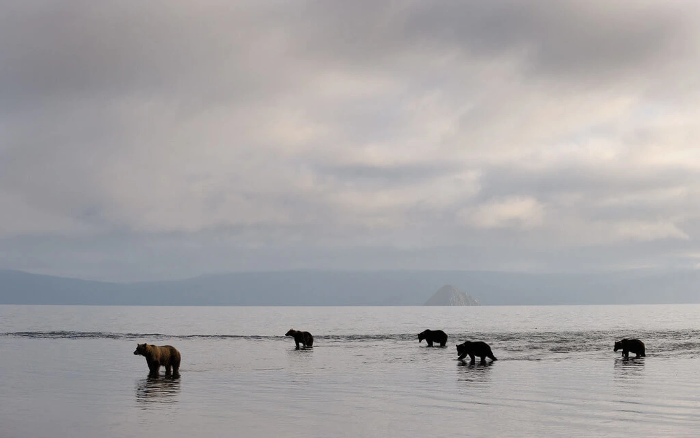 Parc naturel du Kamtchatka du Sud, Russie