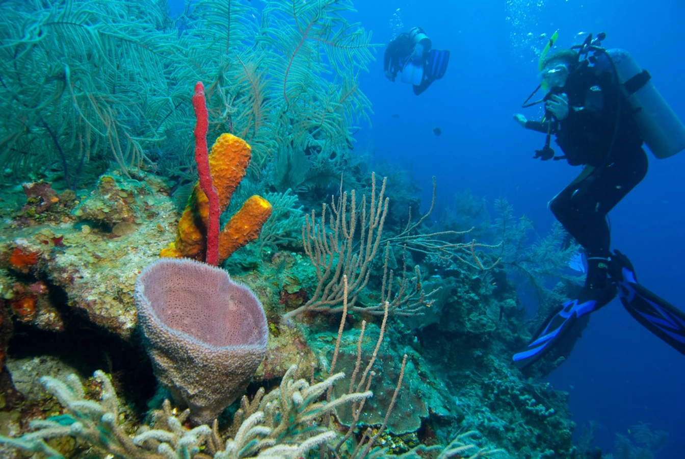Atoll Turneffe, Belize