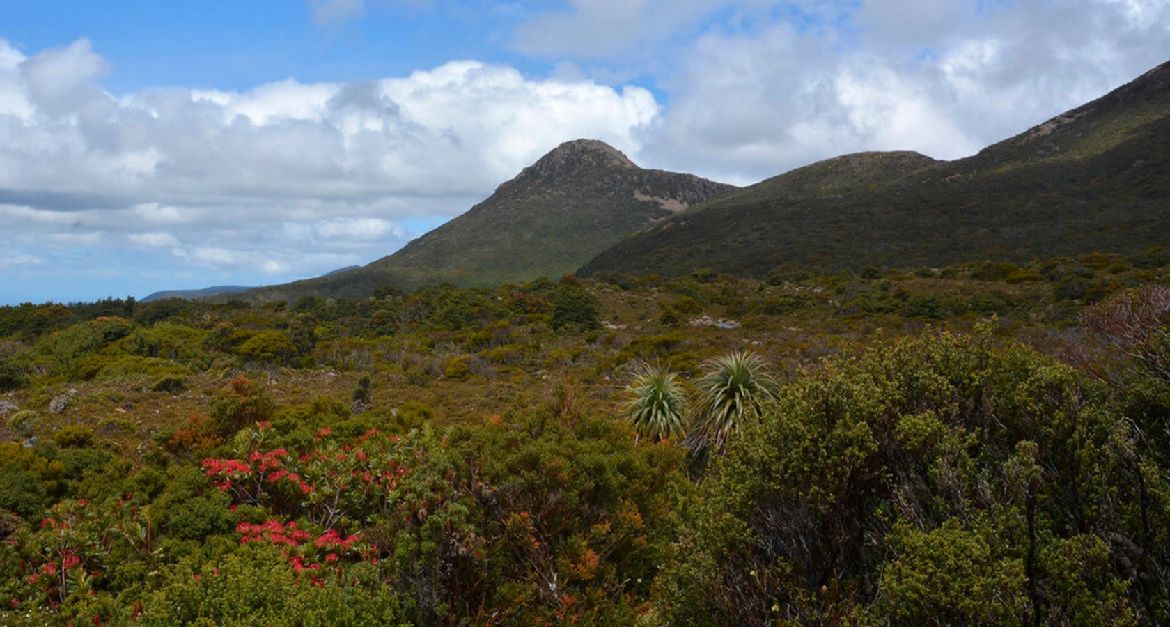 Parc national des Hartz Mountains, Australie, Tasmanie