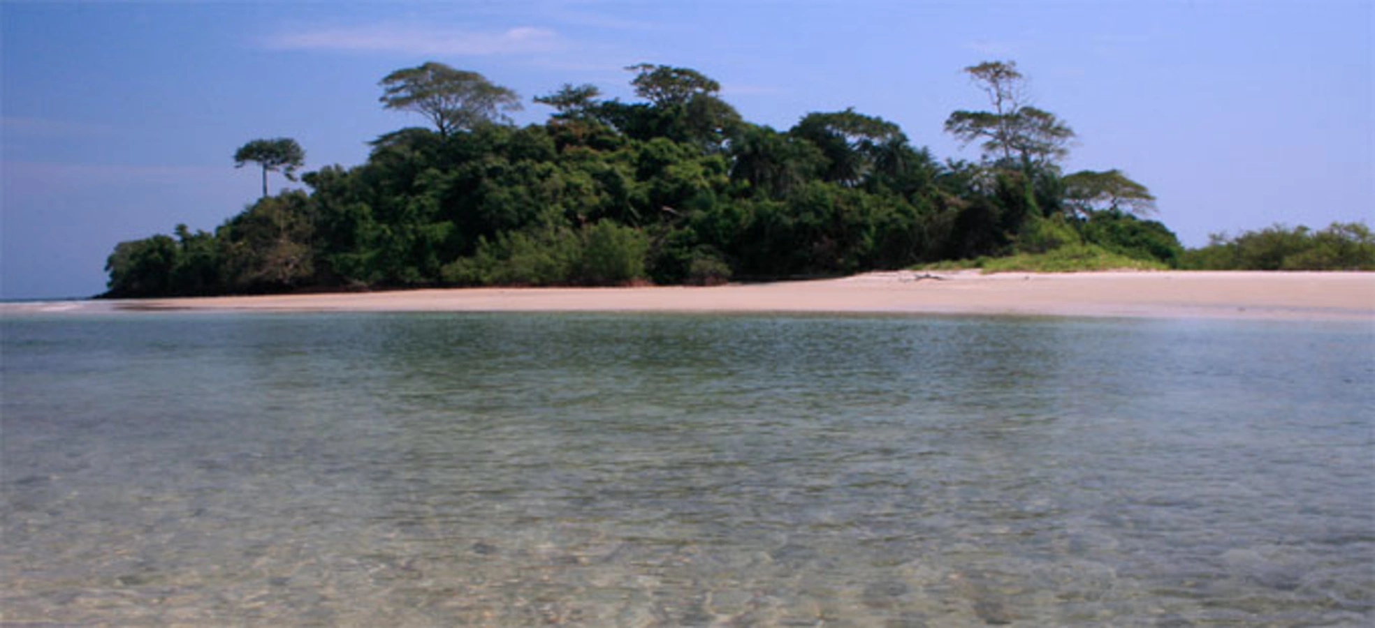 Galinhas, Guinée-Bissau
