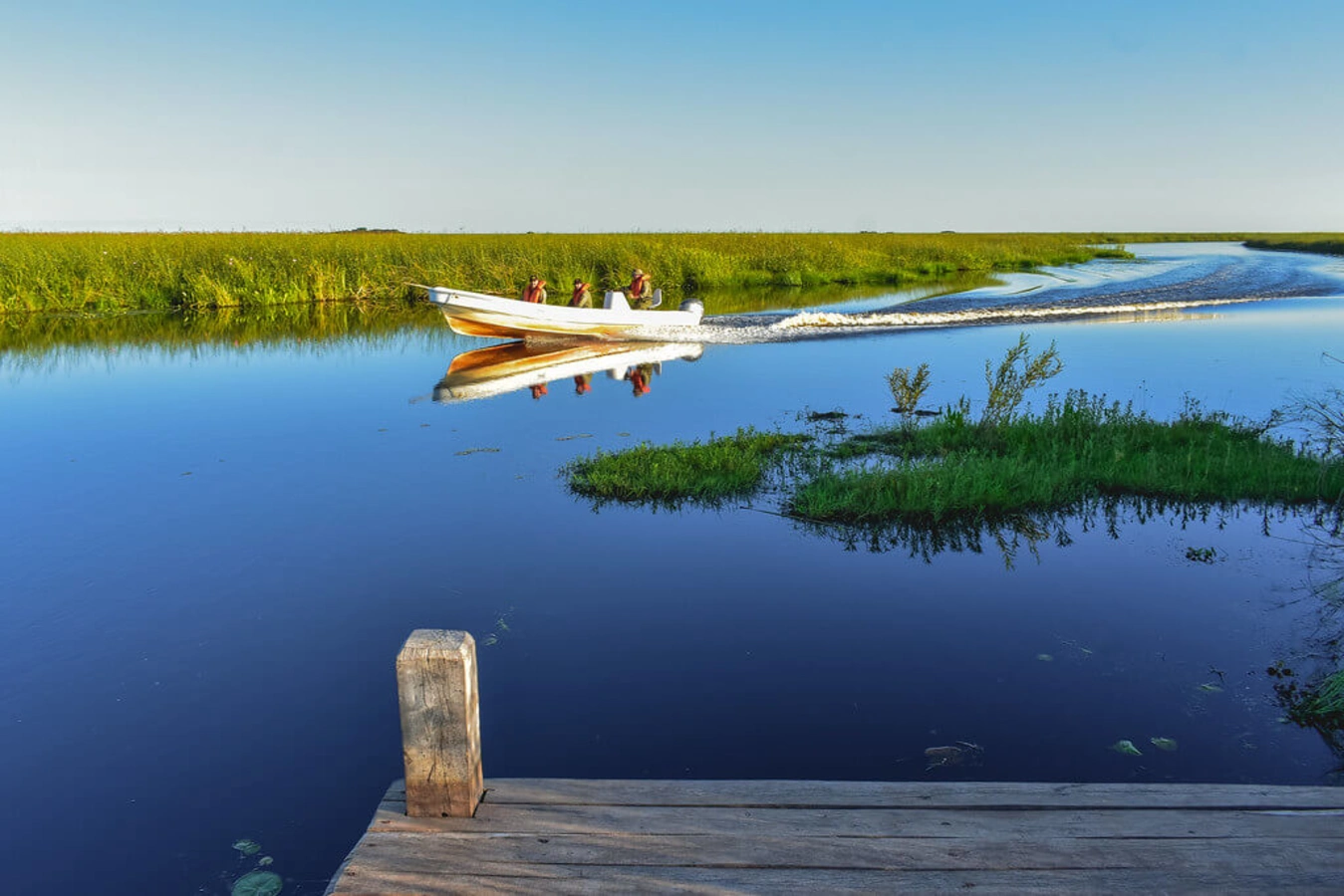 Parc national Ibera, Argentine