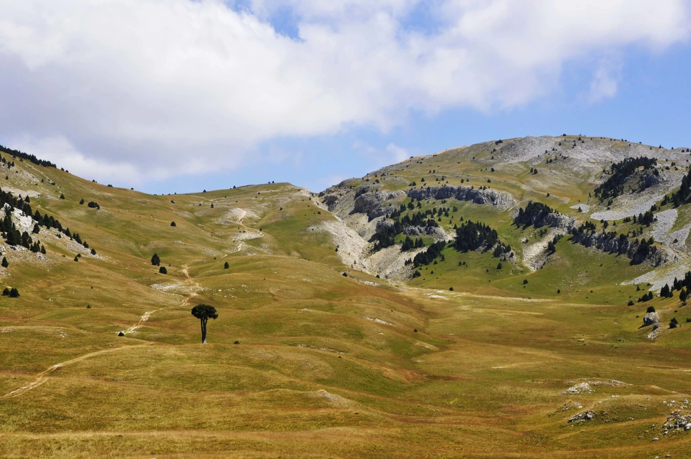 Plaine de la Queyrie, France
