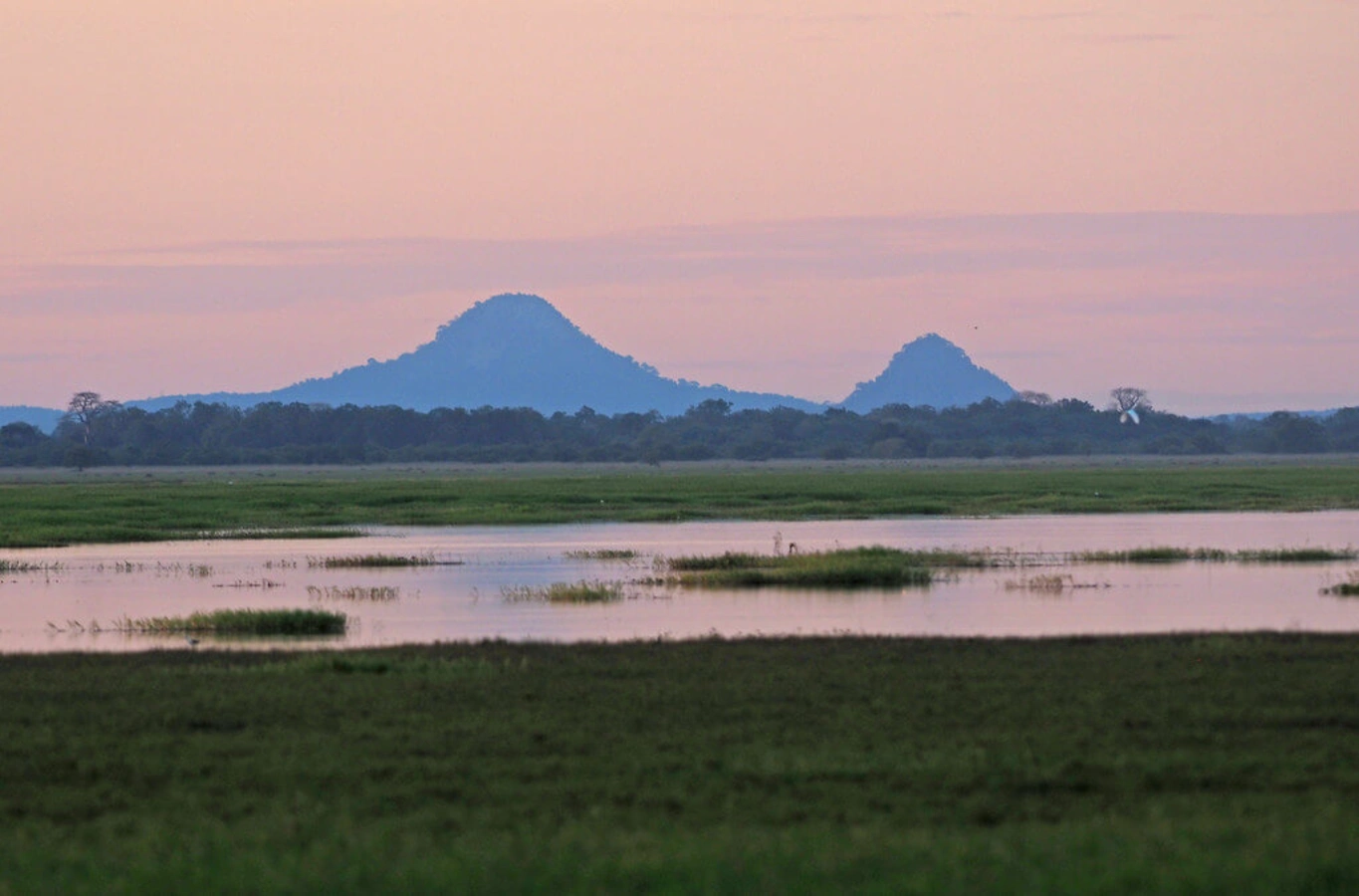 Parc national de Gorongosa, Mozambique