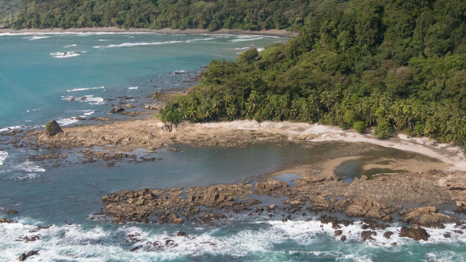 Péninsule d'Osa, Costa Rica