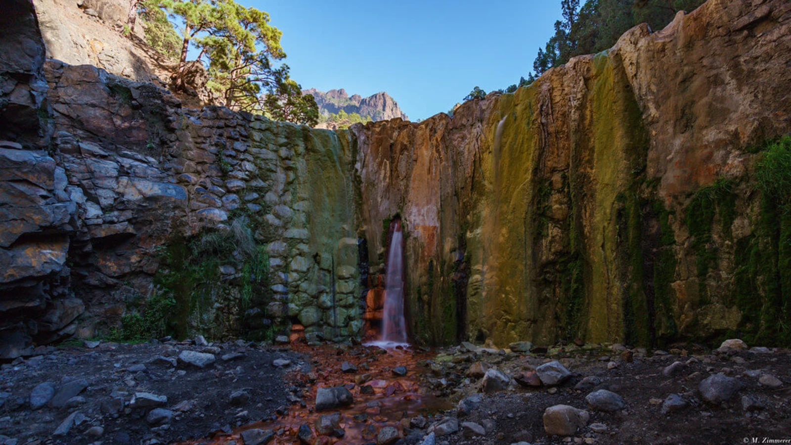 Forêt de Los Tilos, Espagne, Canaries