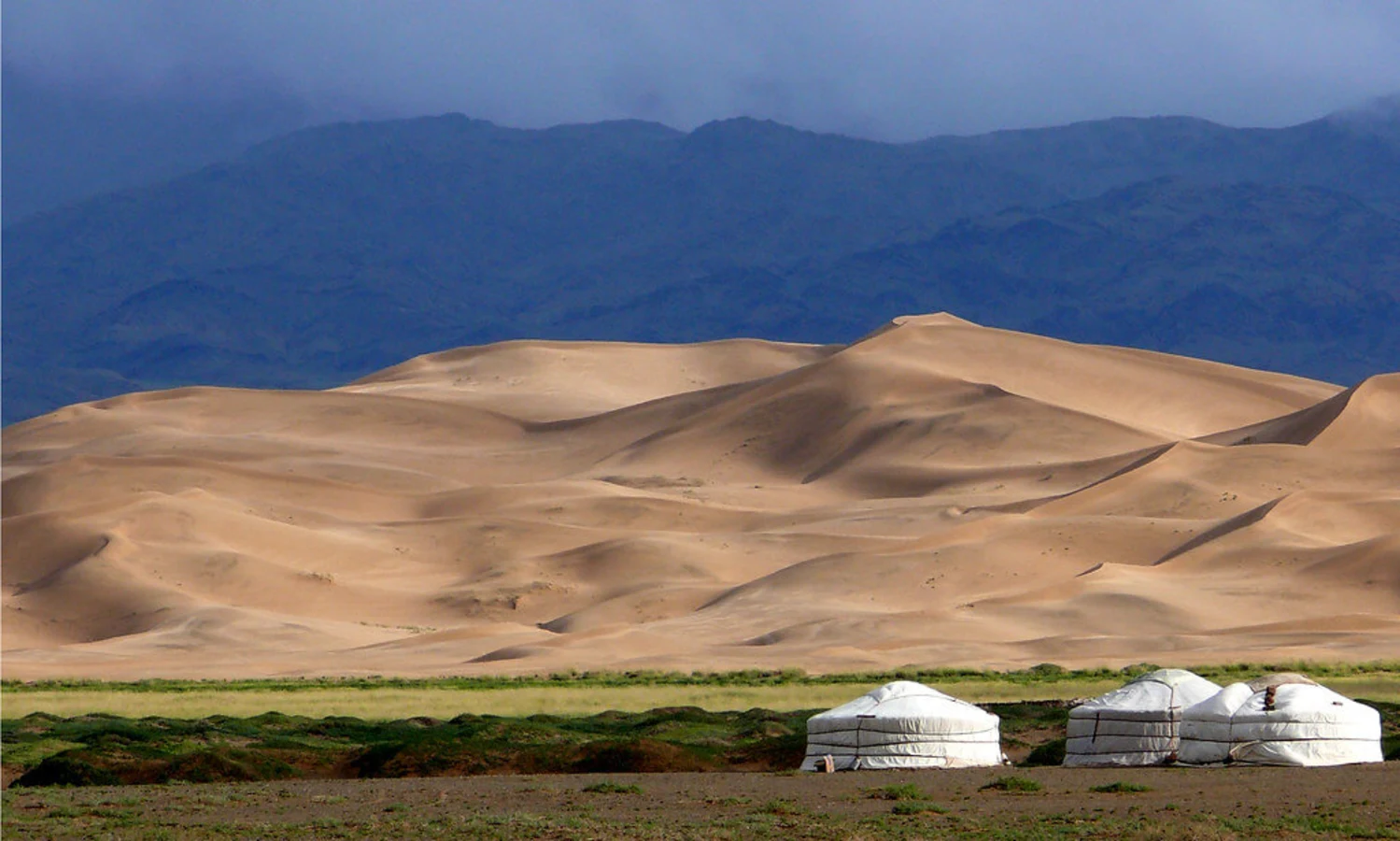 Dunes de Khongor, Mongolie