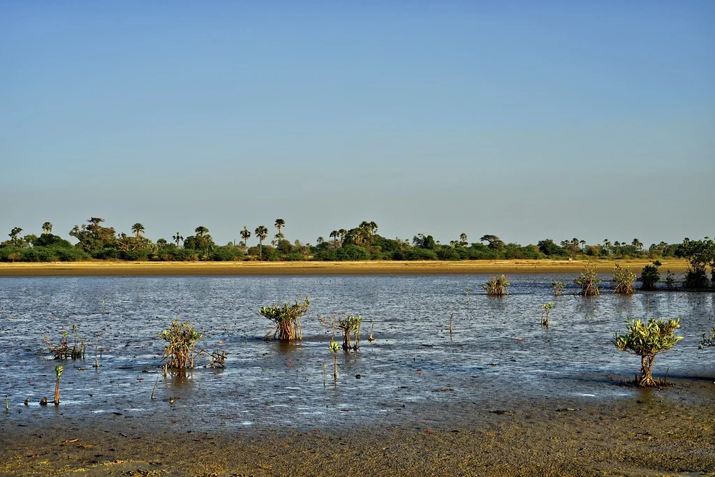 Delta du Saloum, Sénégal, Gambie