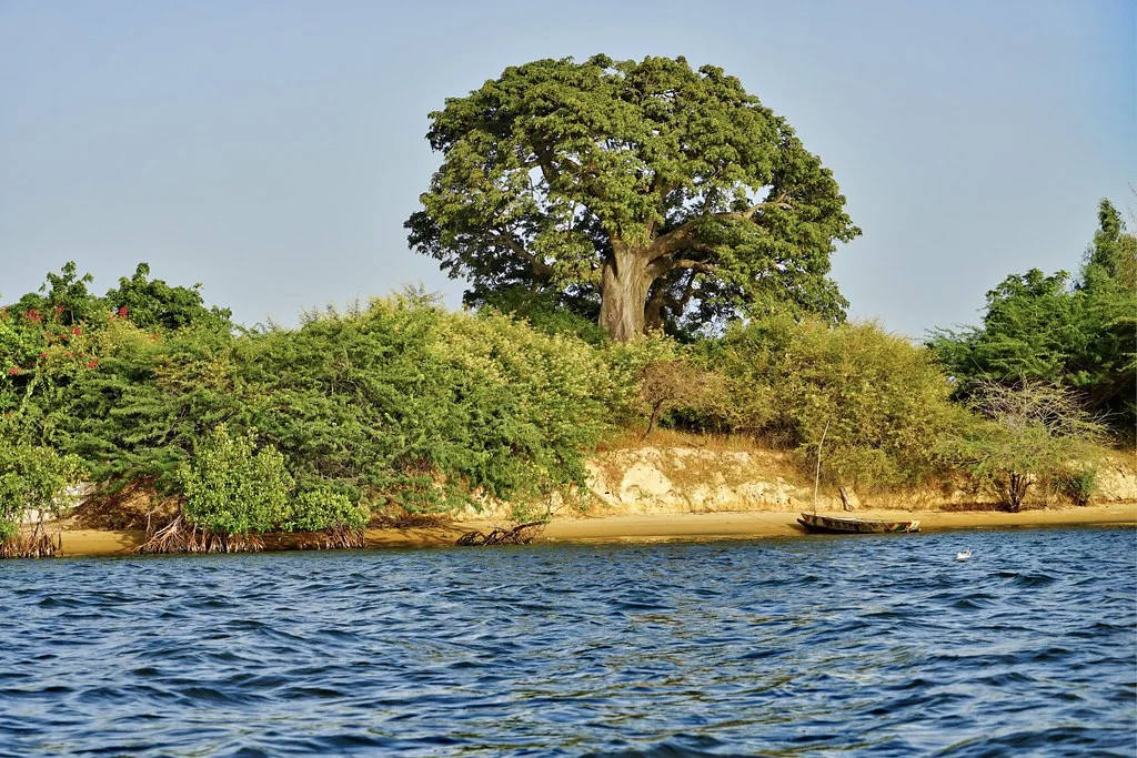 Delta du Saloum, Sénégal, Gambie