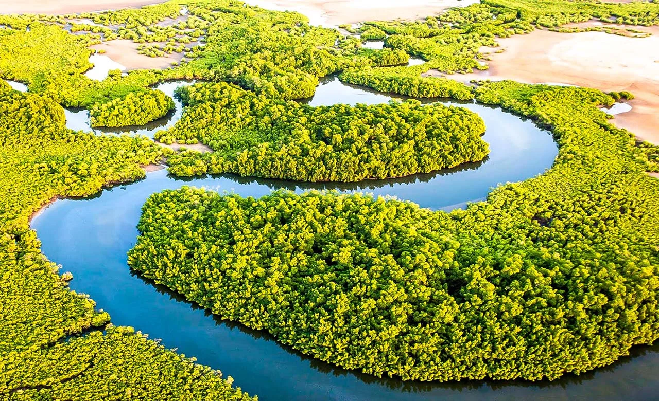 Delta du Saloum, Sénégal, Gambie