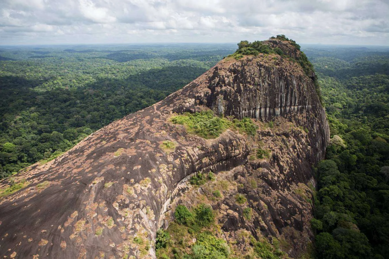 Parc amazonien de Guyane, Guyane française