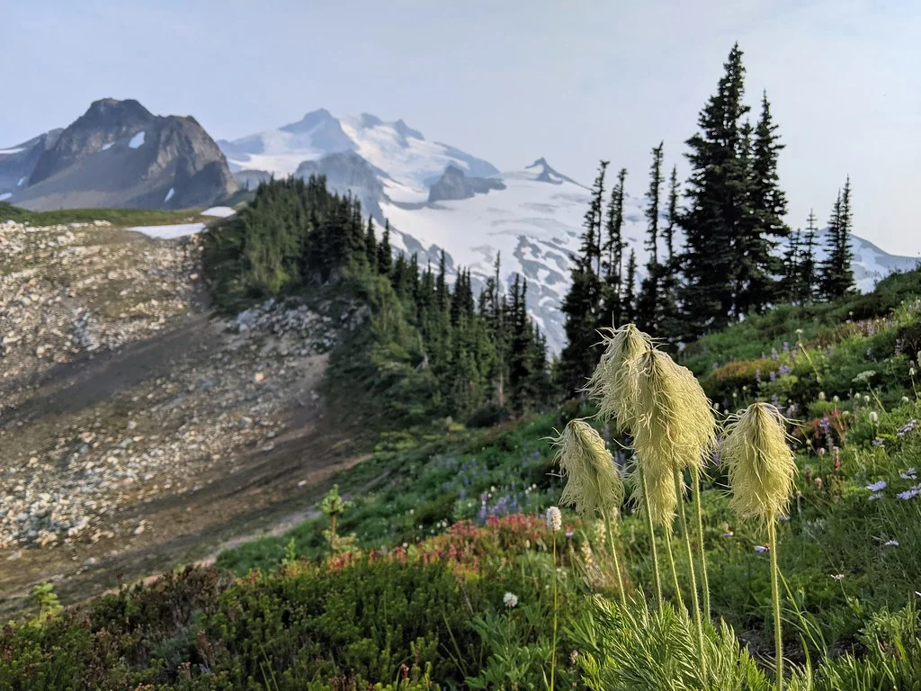 Glacier Peak Wilderness, États-Unis