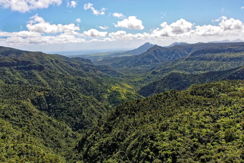 Parc national des gorges de Rivière Noire, Maurice