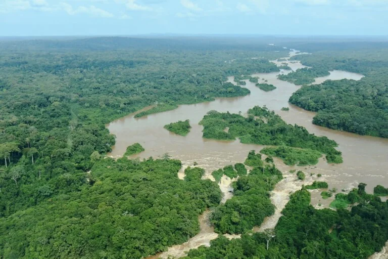 Forêt de l'Ituri, République démocratique du Congo